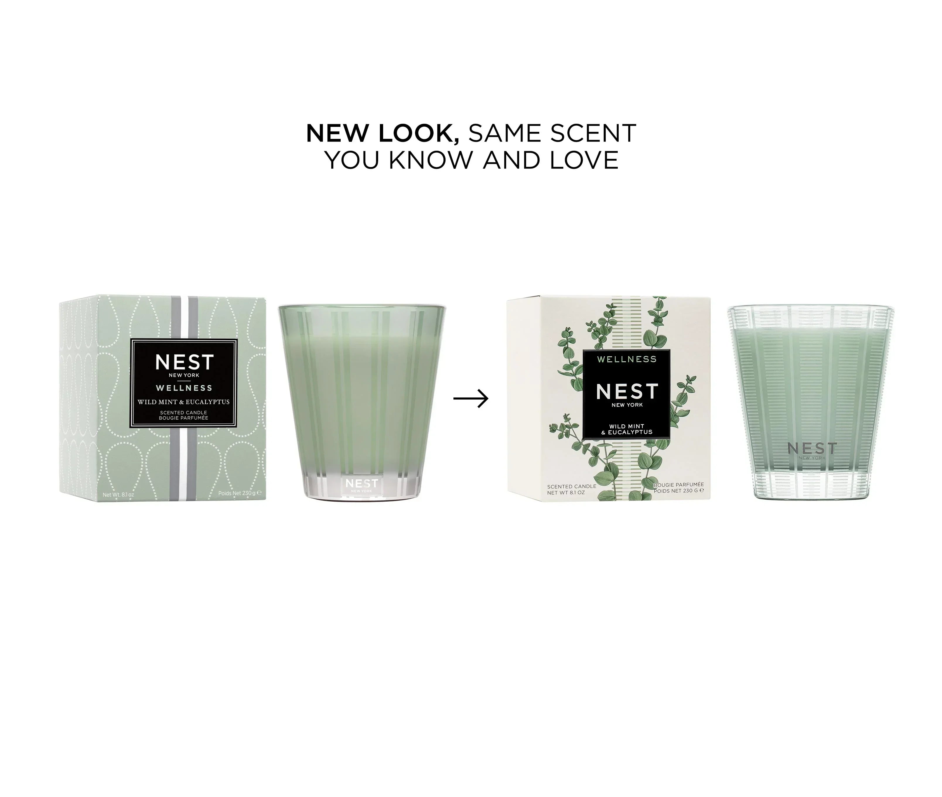 Wild Mint & Eucalyptus Classic Candle